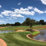 New Par 3- 18 hole Golf Course- Serenegti Dam (4)